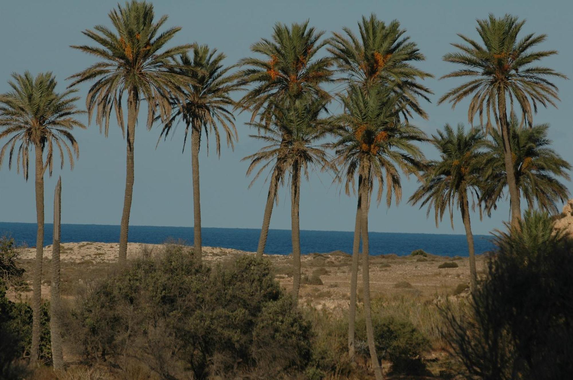 فندق Complejo La Ermita رودالكيلار المظهر الخارجي الصورة